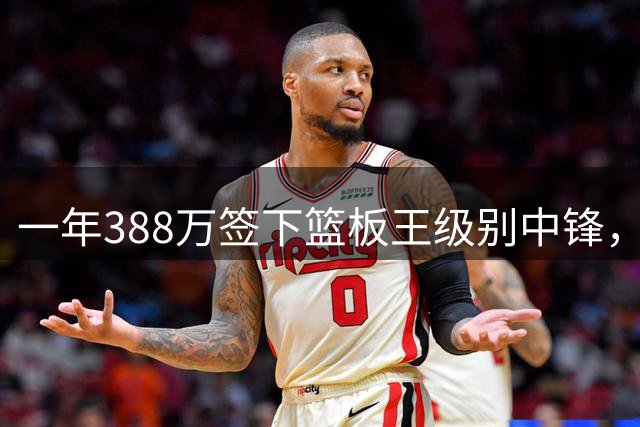 一年388万签下篮板王级别中锋，尼克斯这笔操作被赞性价比极高